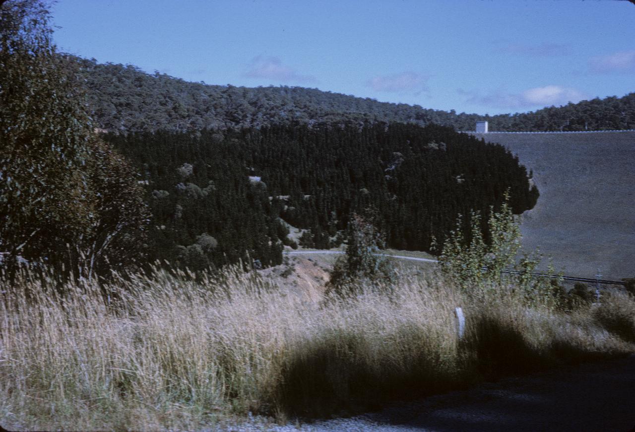 Rock covered earth dam wall on right, pine forest on left