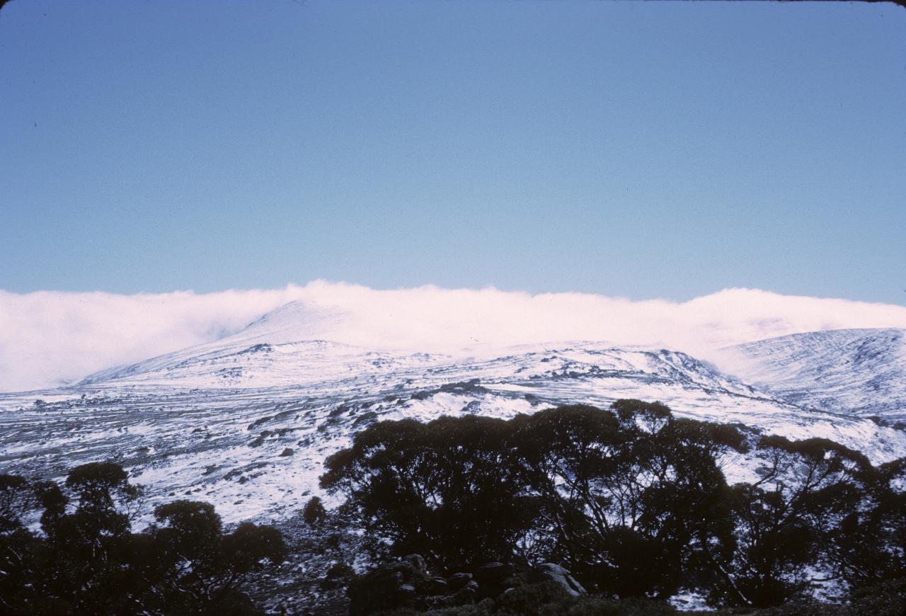 Light snow covering on hills and trees in foreground