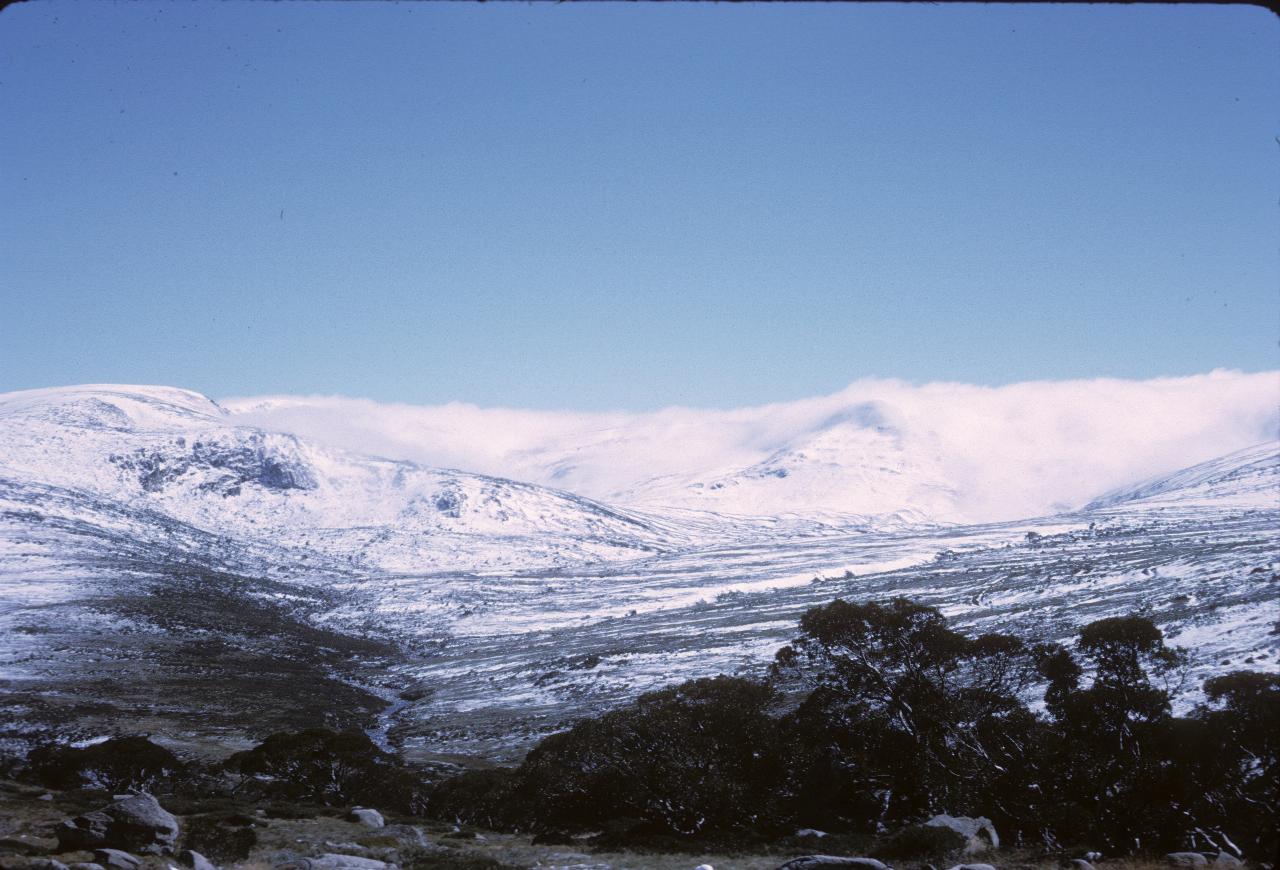 Light snow covering on hills and trees in foreground