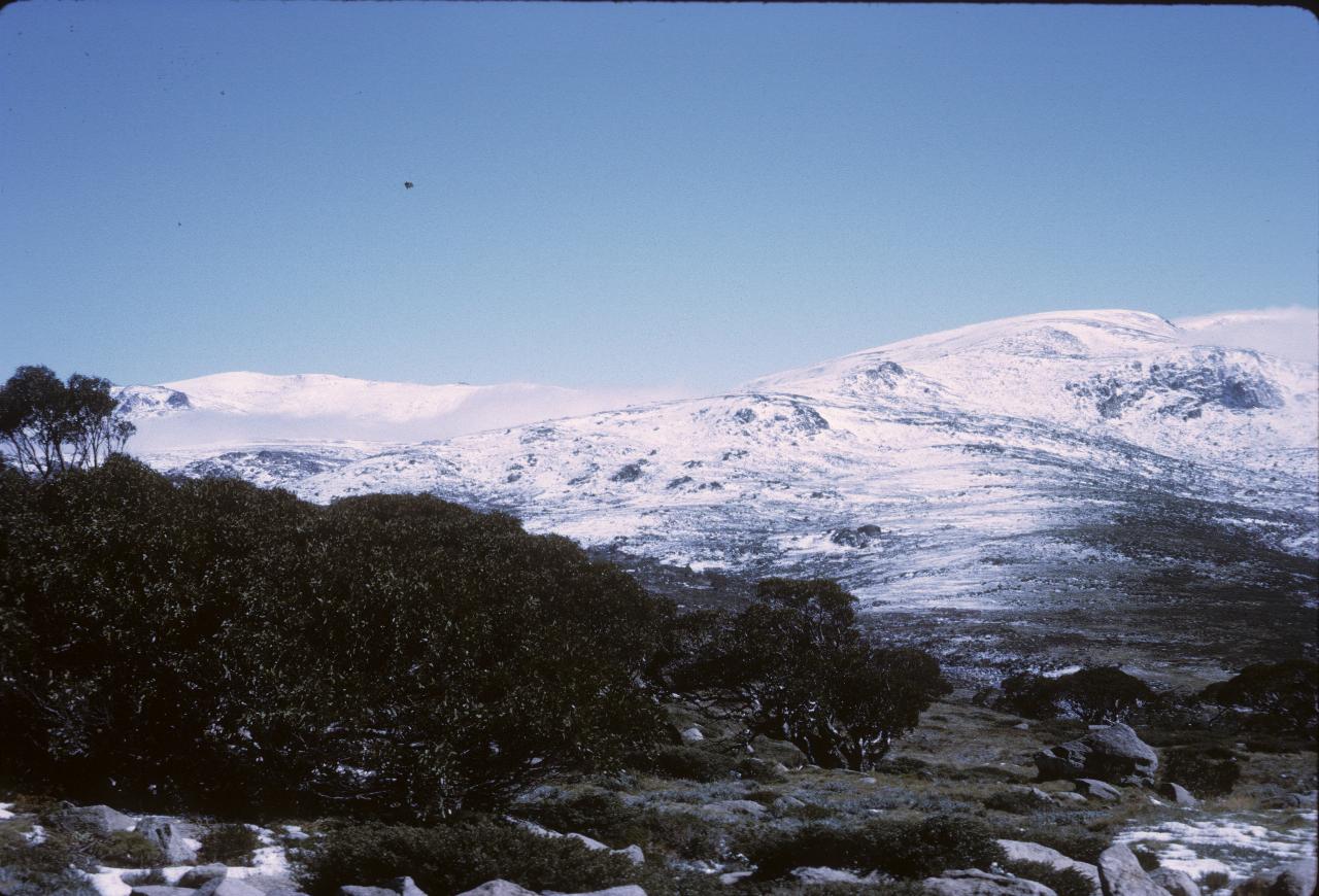 Light snow covering on hills and trees in foreground