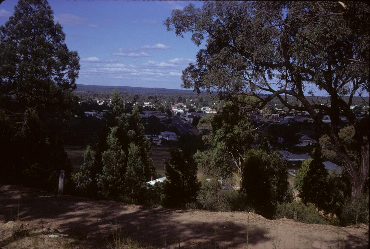 Looking over town into bushland beyond to the horizon