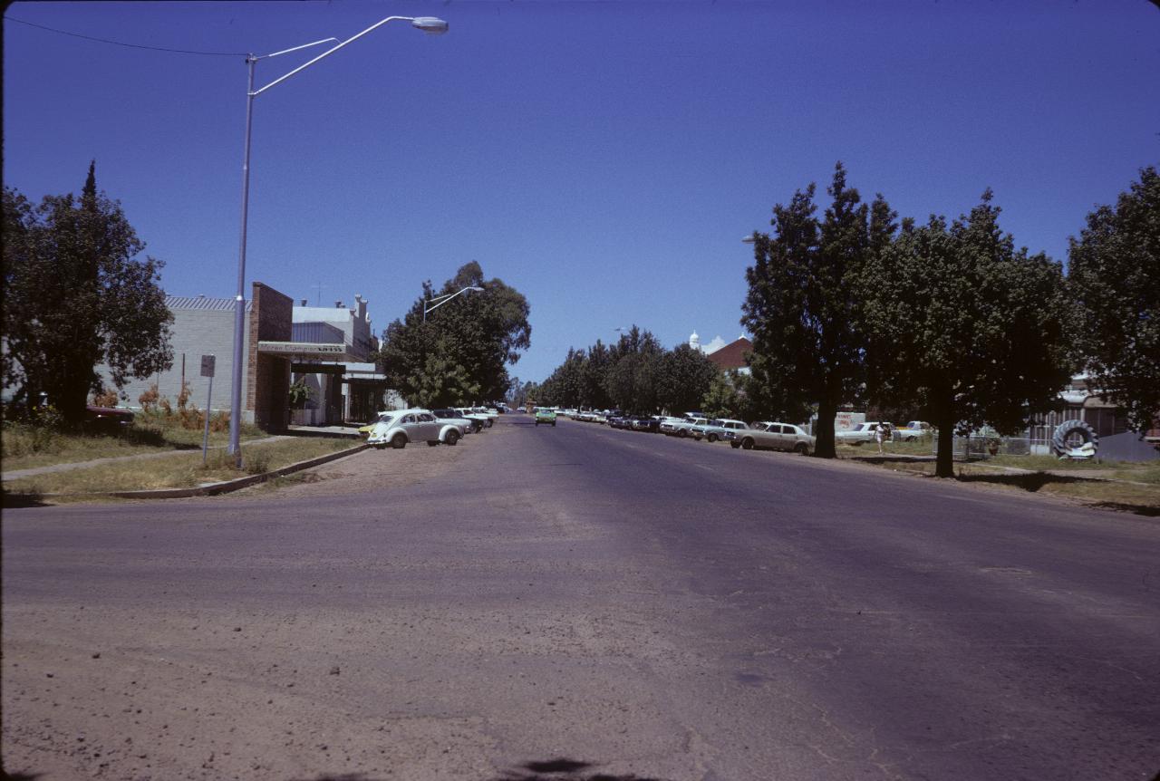 Tree lined street, cars parked rear to curb, single level shops