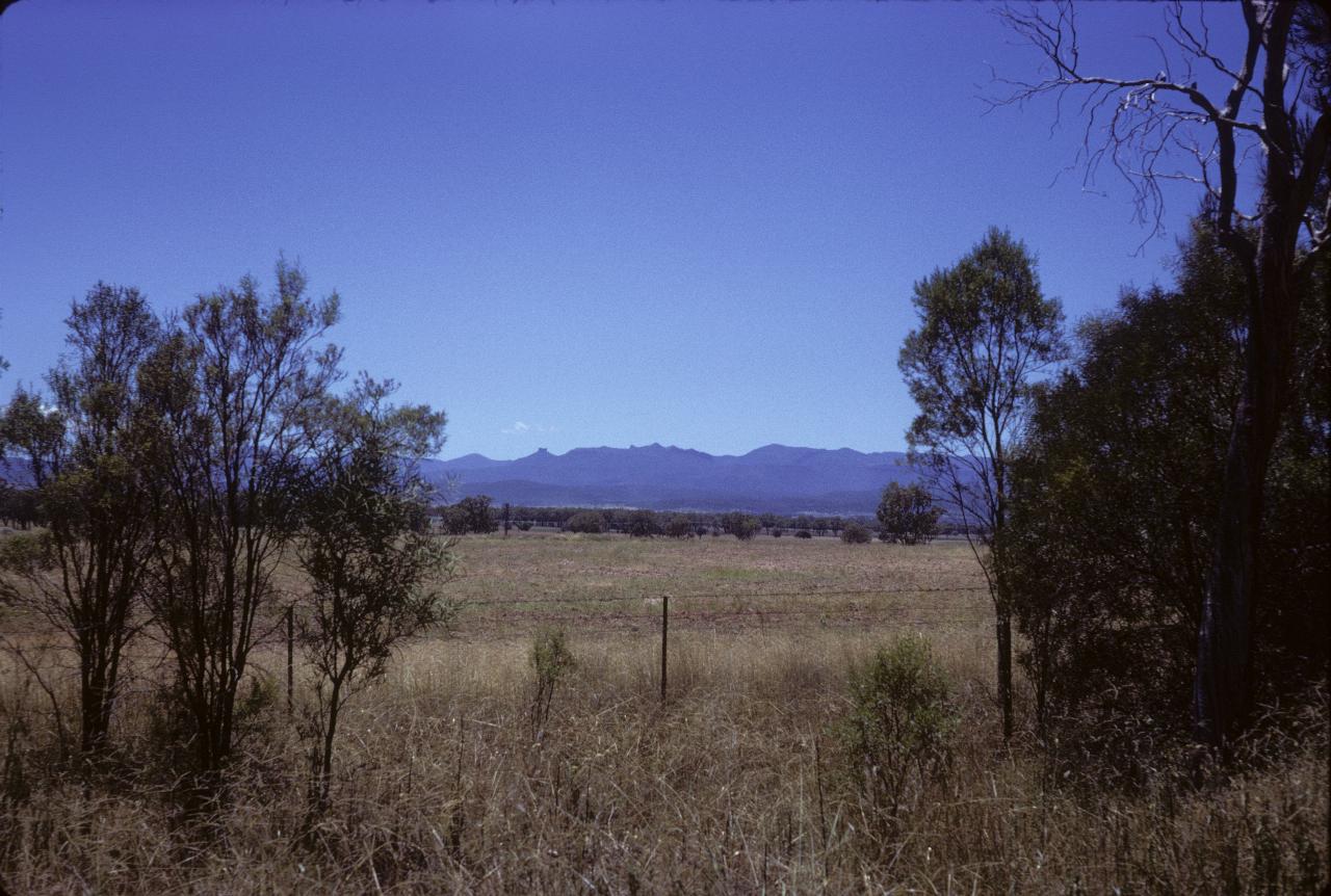 Distant jagged mountain seen across brown grass fields