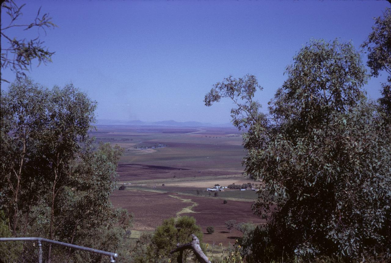 View between trees to ploughed fields to distant hills