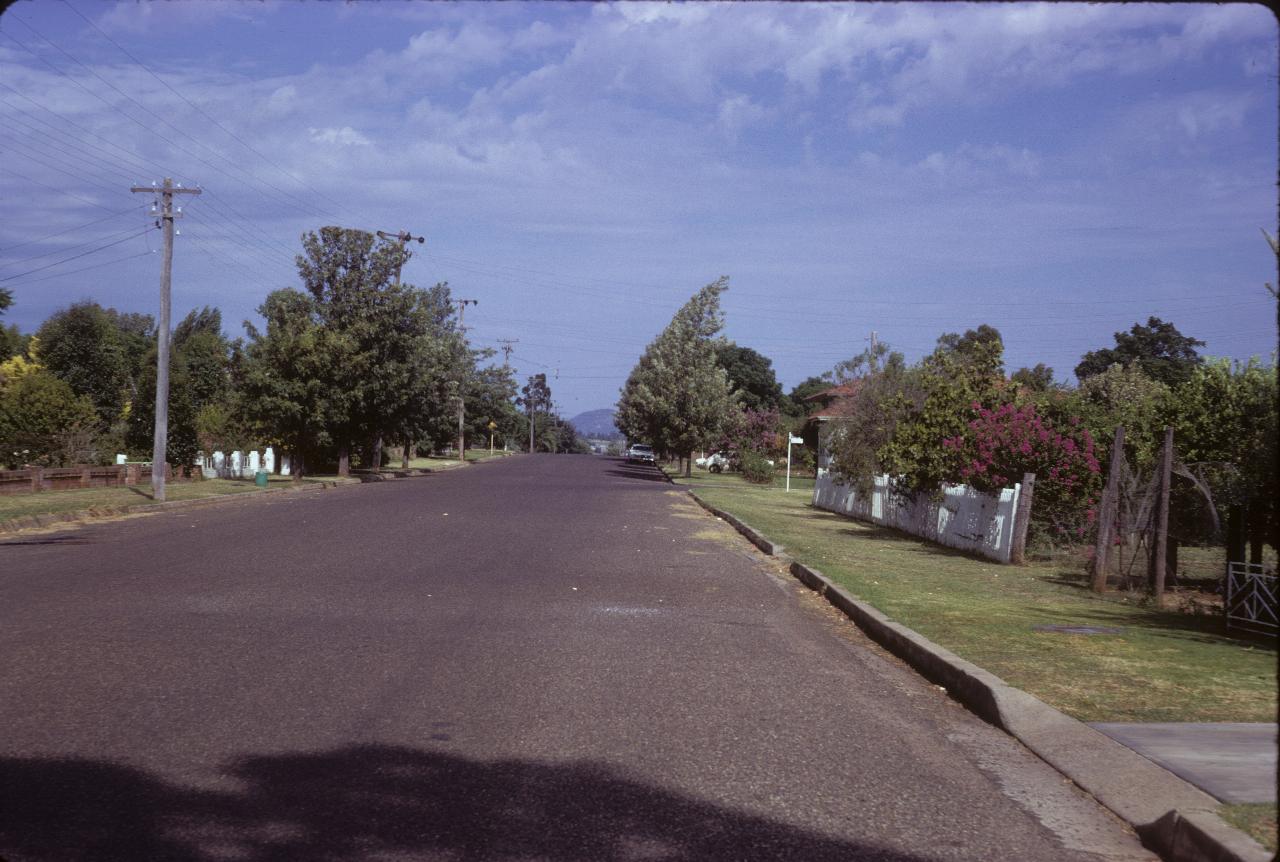 Neat, residential street with trees