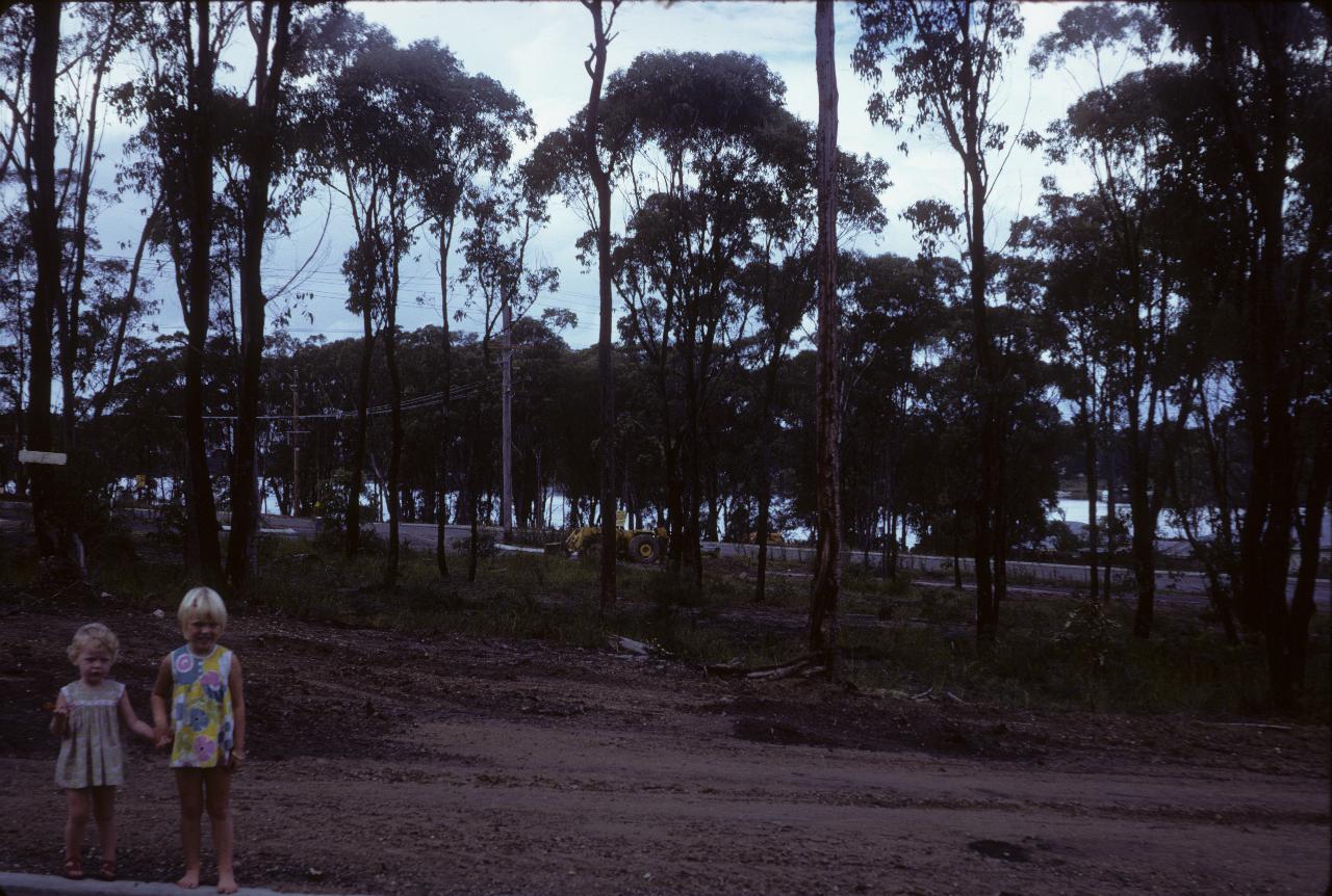 Two little girls at front of land with a few trees; lake in background