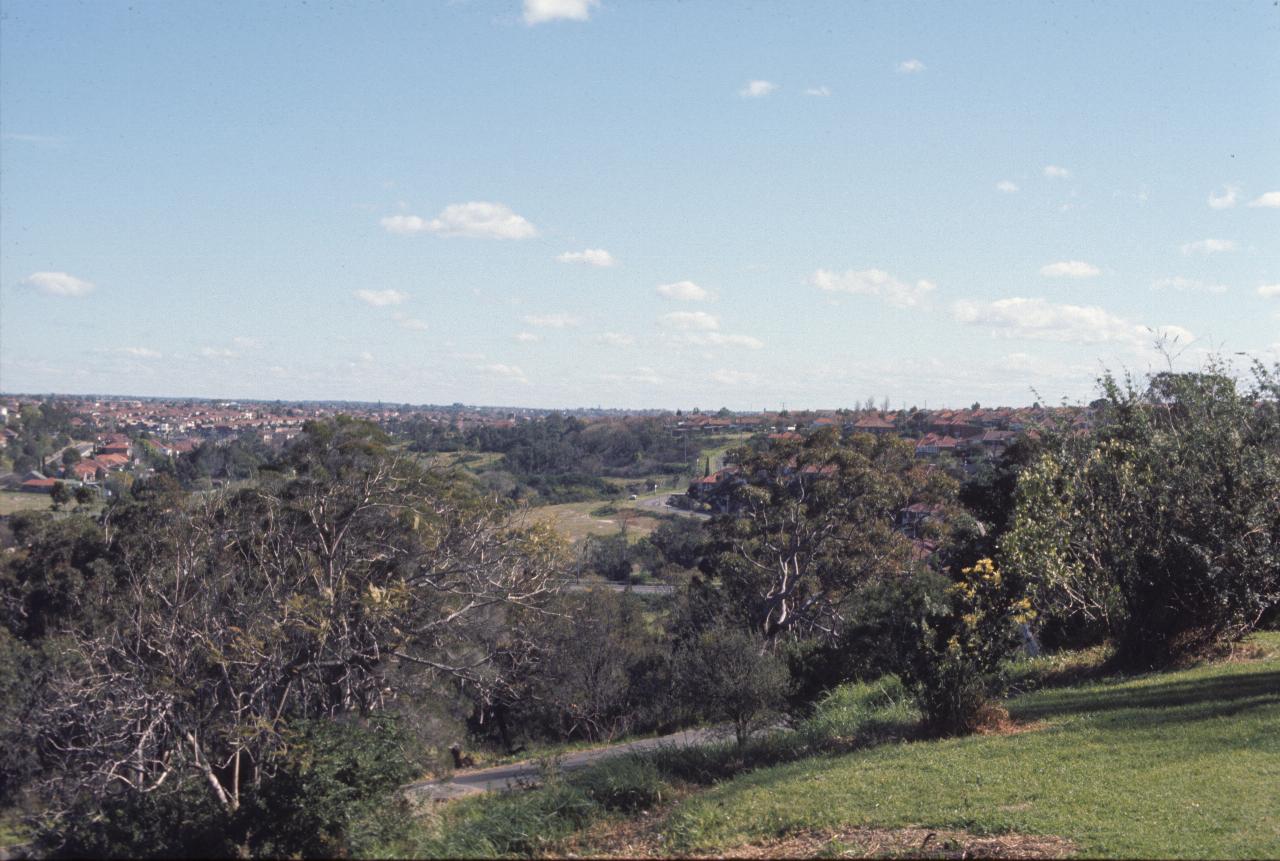 View from hill over tree covered valley to houses in distance