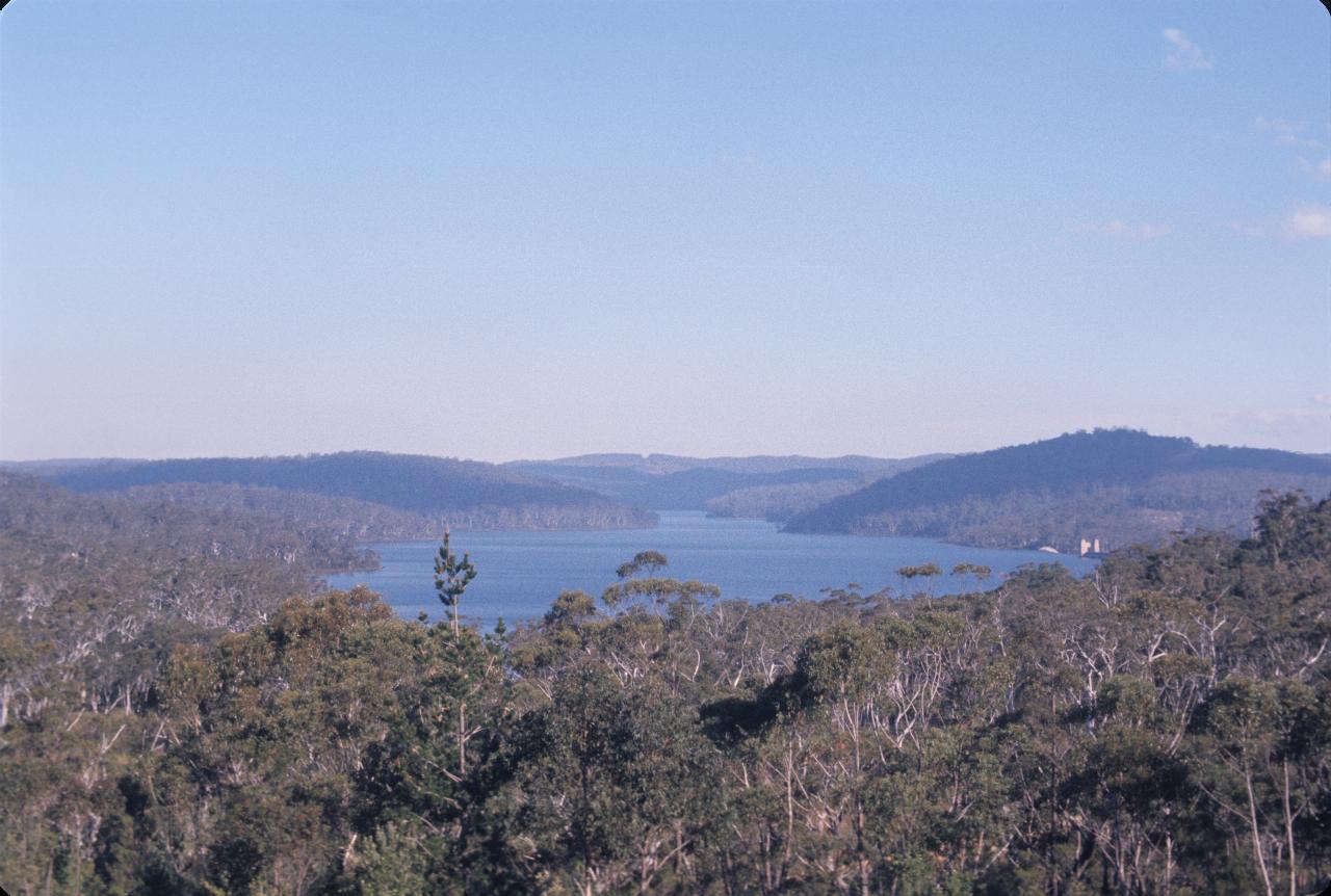 View over trees to large lake behind just visible dam