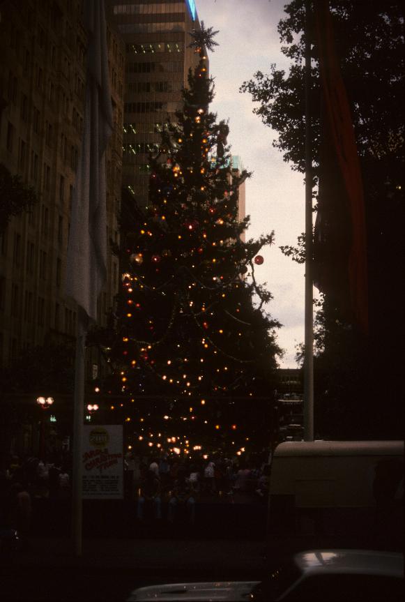 Christmas tree in city plaza, building on 3 sides