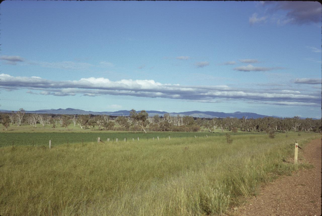 Farmland to trees to distant hills from edge of road