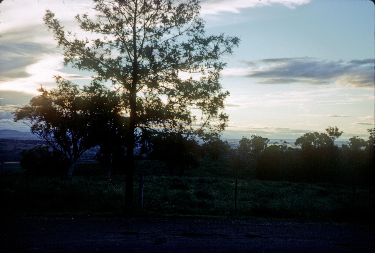 Sun setting behind tree, taken from hill, with distant hills across plains