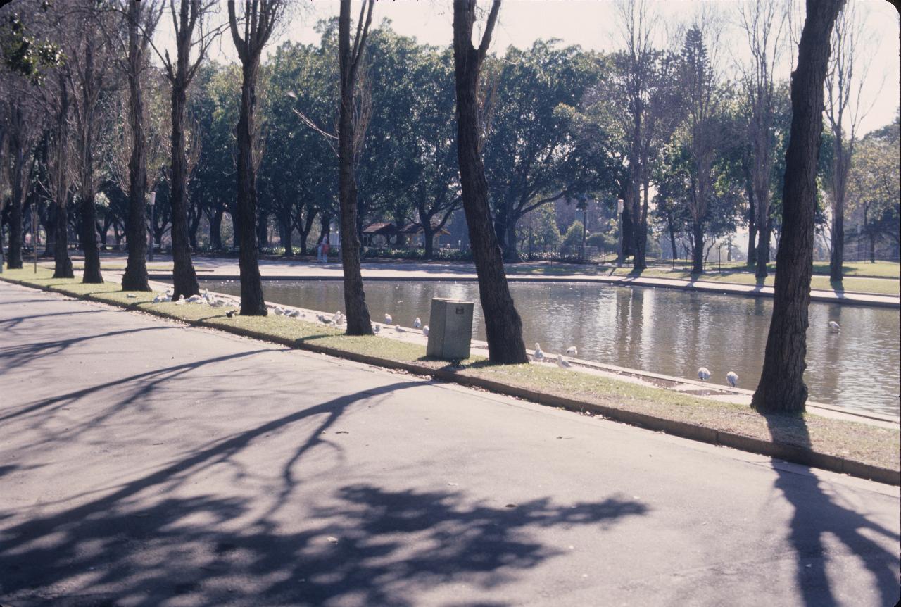 Shallow pool of water surrounded by trees and a path