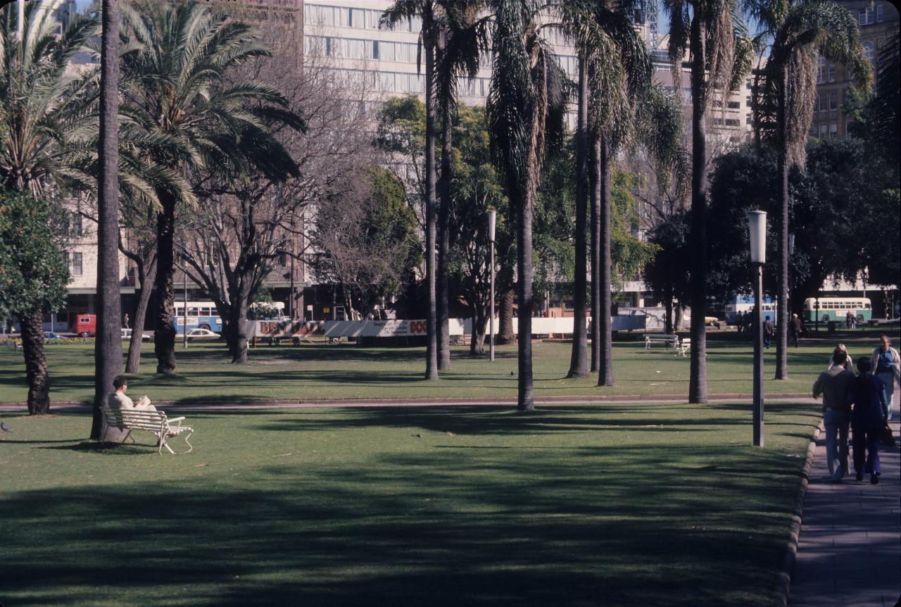 Park with palm trees to street with buses and buildings