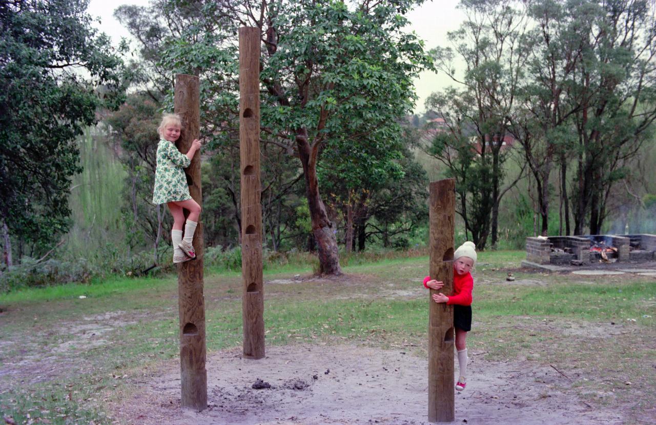 3 climbing poles, 2 little girls on them, the younger one not looking happy, and barbecue in background