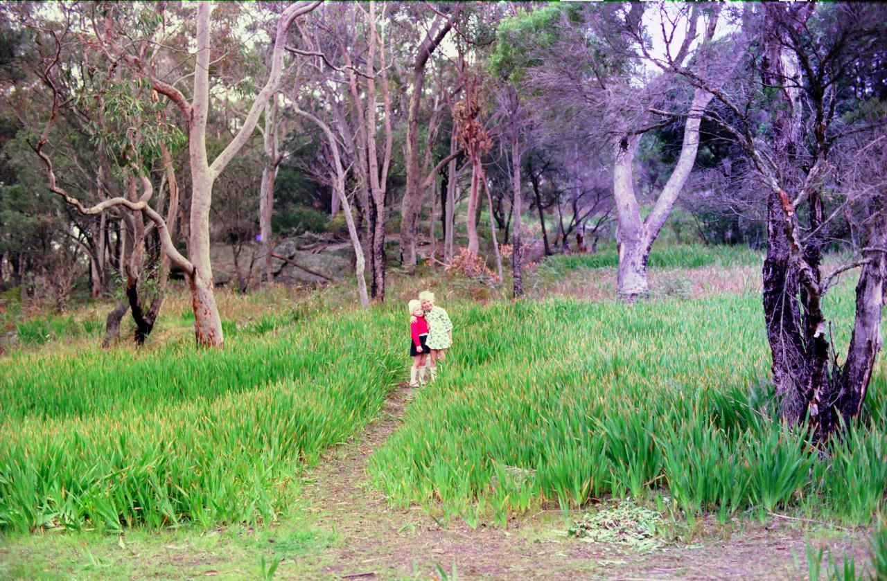 2 little girls among tall grass with trees behind