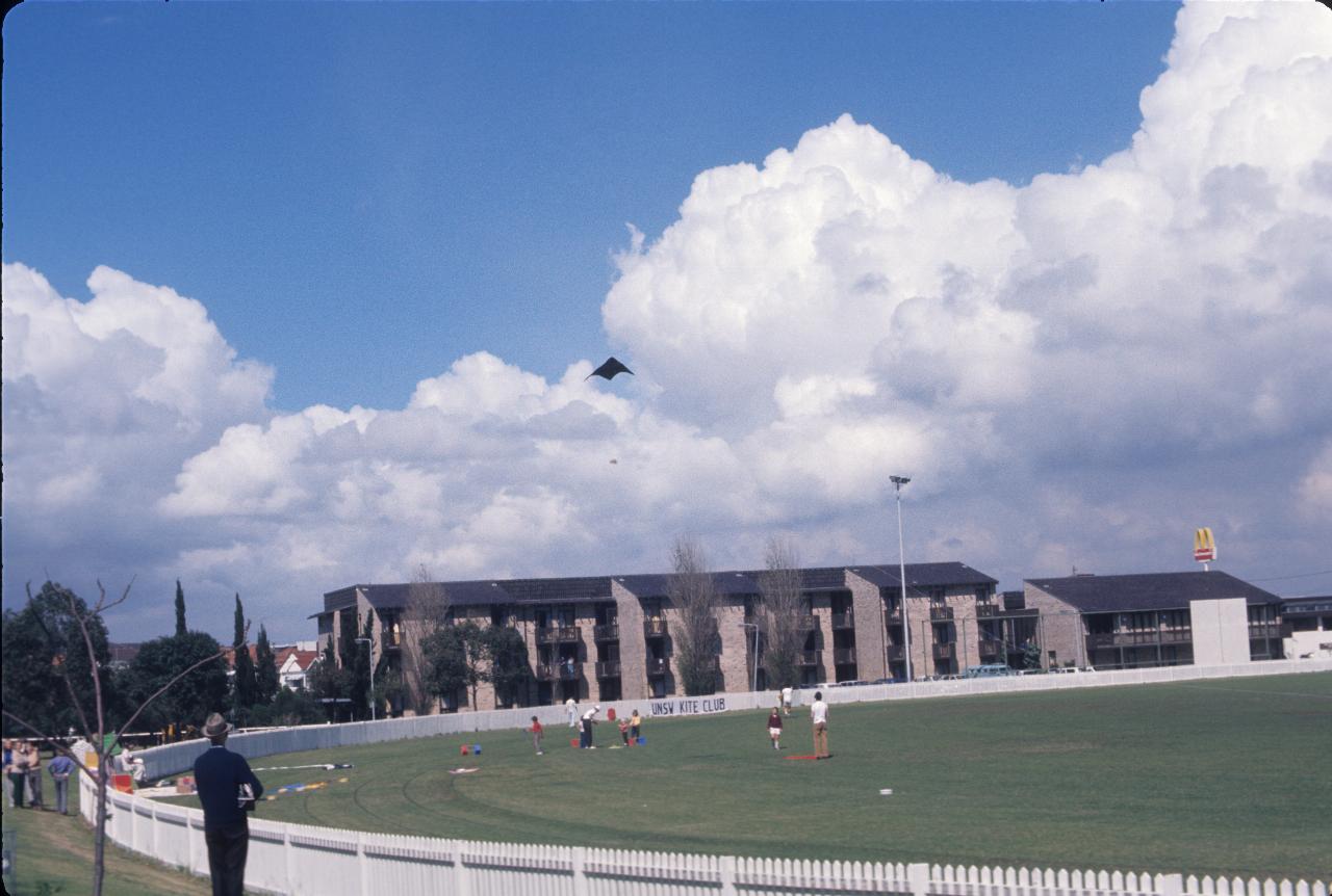 Grassy oval, white fence with a group of kite flyers