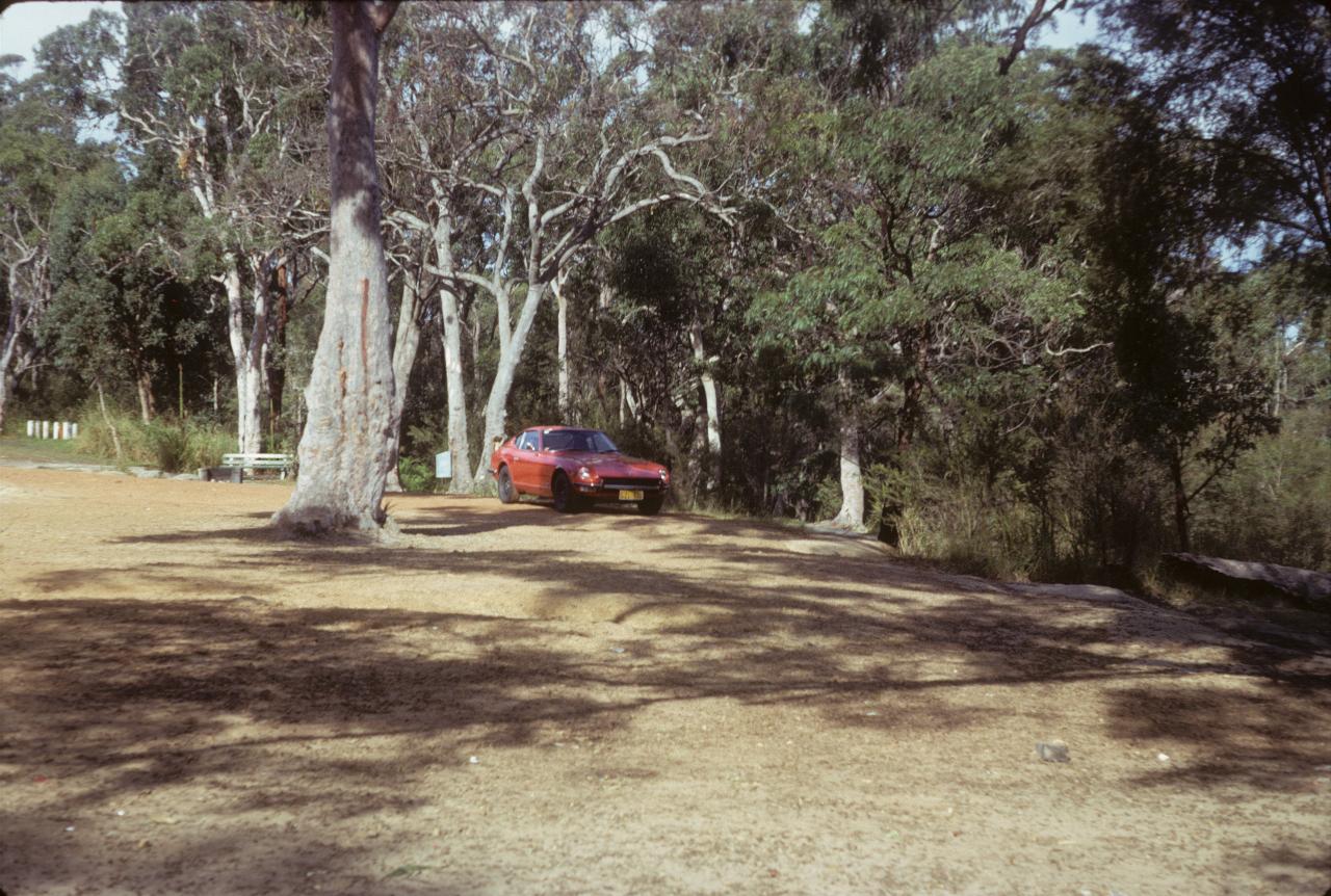 Red car parked among trees in dirt parking lot