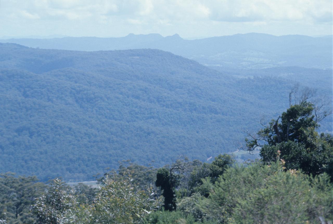 VIew form mountain over valley with dense tree cover on the other side, and some old volcanic plugs in distant hills