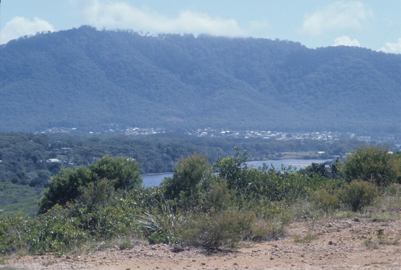 View over river and town to folded mountain with dense treee cover