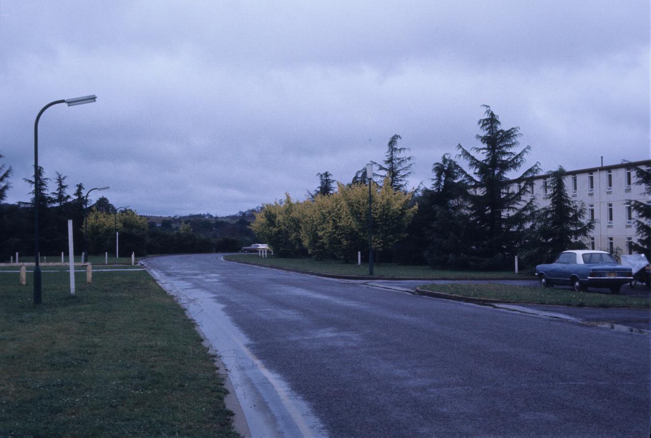 3 storey, white buildings, mostly hidden from road by trees