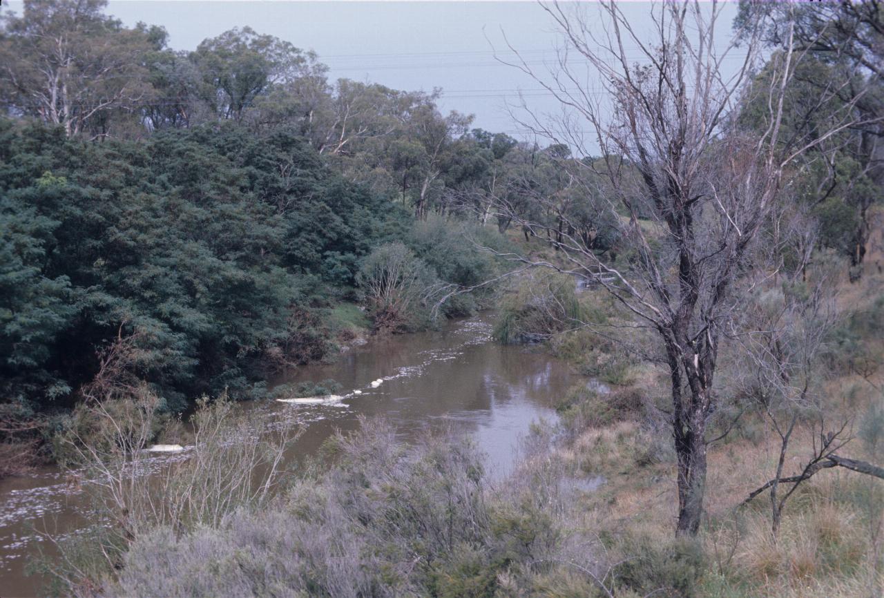 Creek flowing through bushland