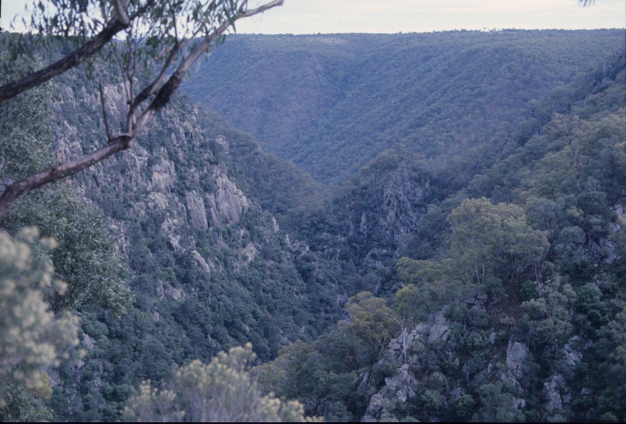 Valley view with rugged sides, some rock faces