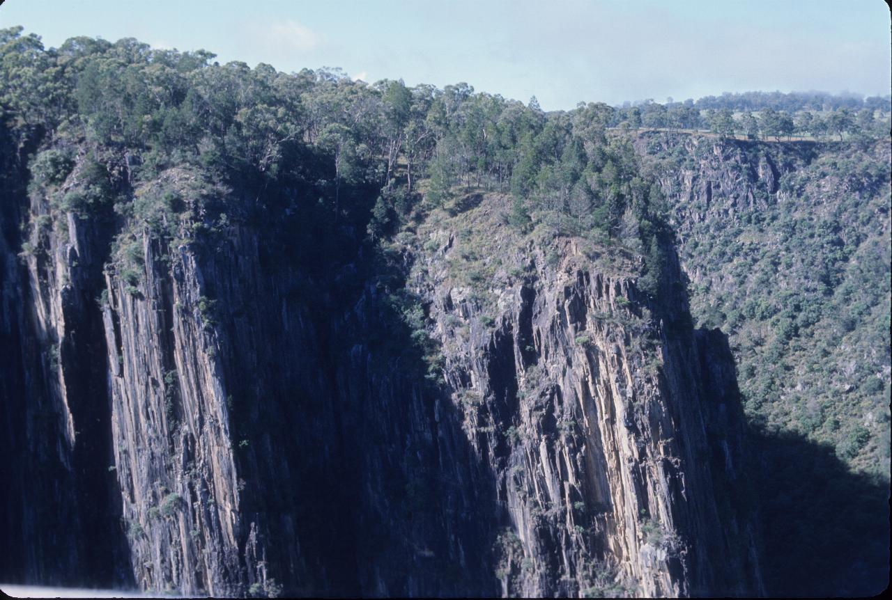 Sheer cliffs across the gorge, with trees on top