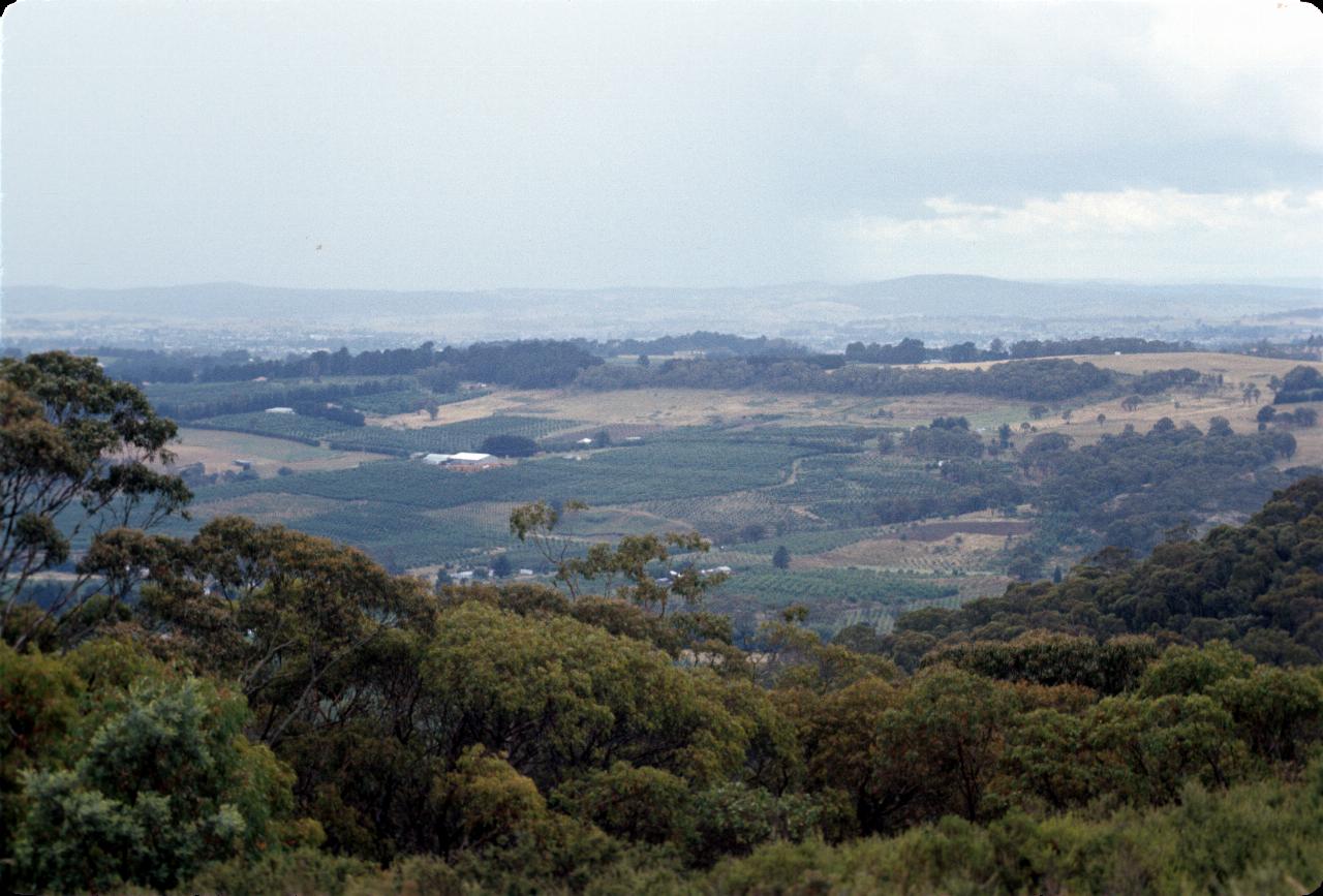 View over trees to orchards and farms, with distant rain