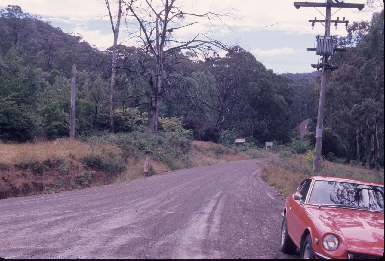 Car parked on side of gravel road leading into trees