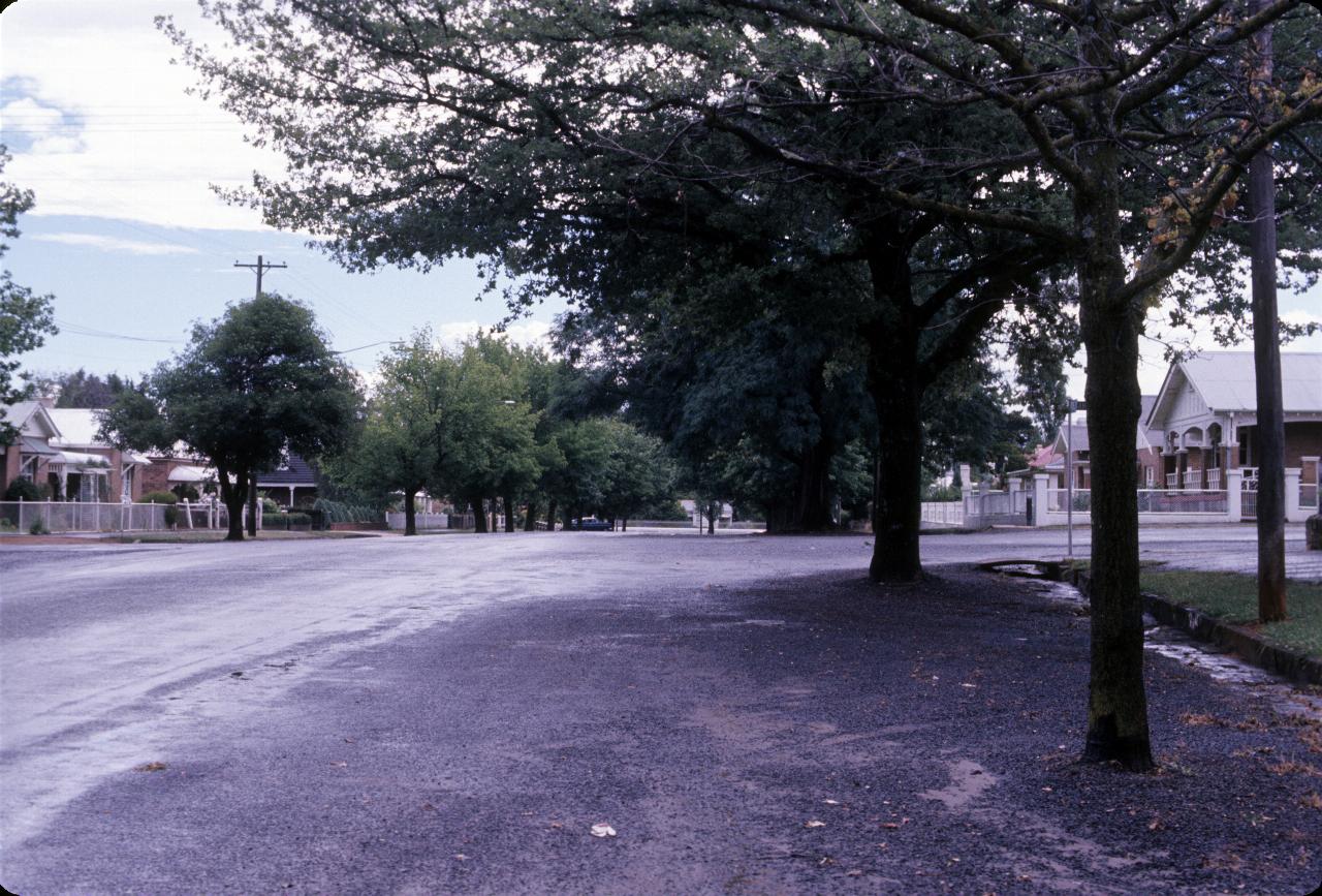 Residential street with mature trees and older style houses