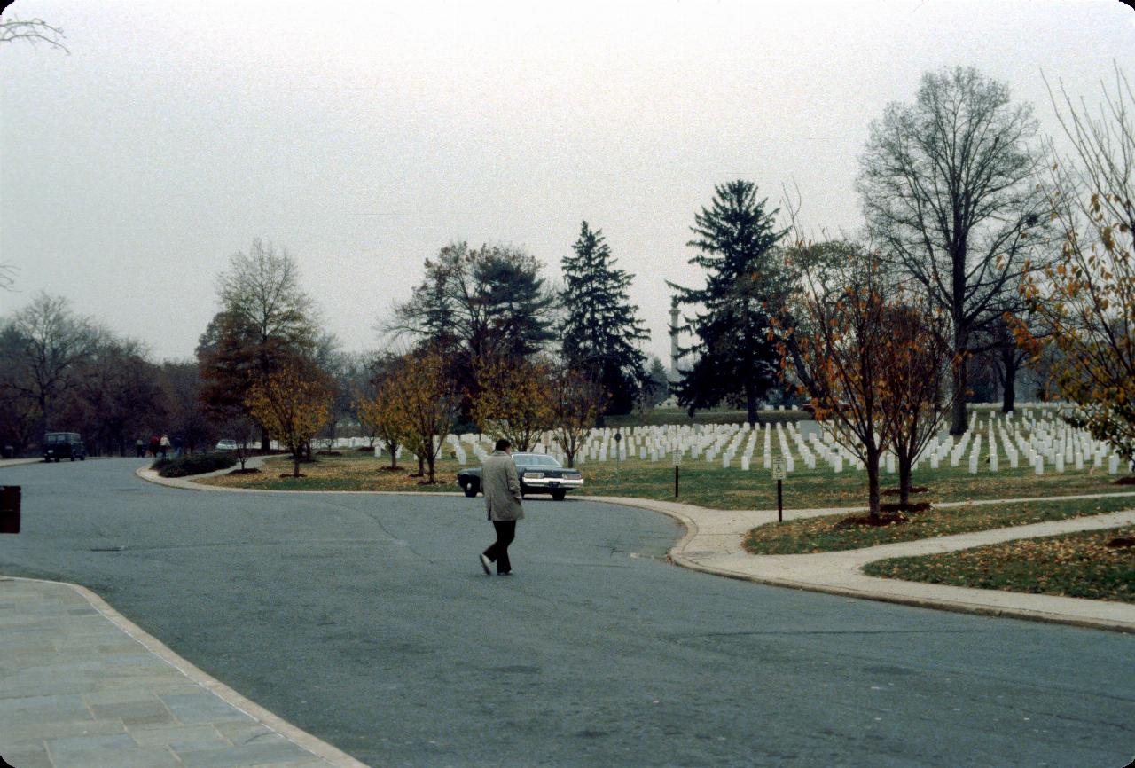 Flat area with white headstones amidst bare trees