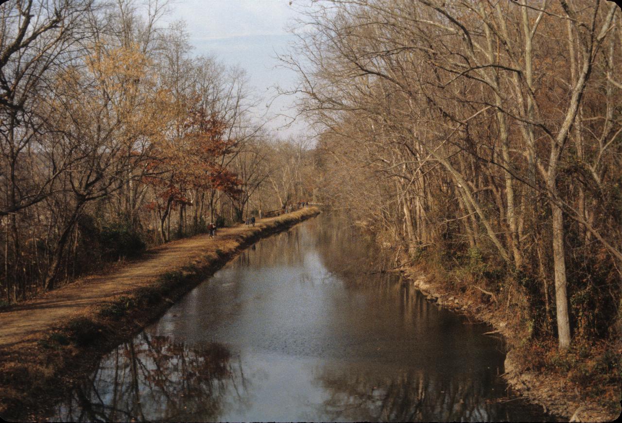 View along canal, with trees on right to water's edge, and the tow path along the left side.