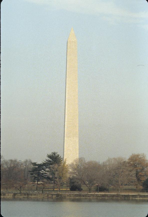 Very tall obelisk with pointed top, white surface, located behind trees and a pond