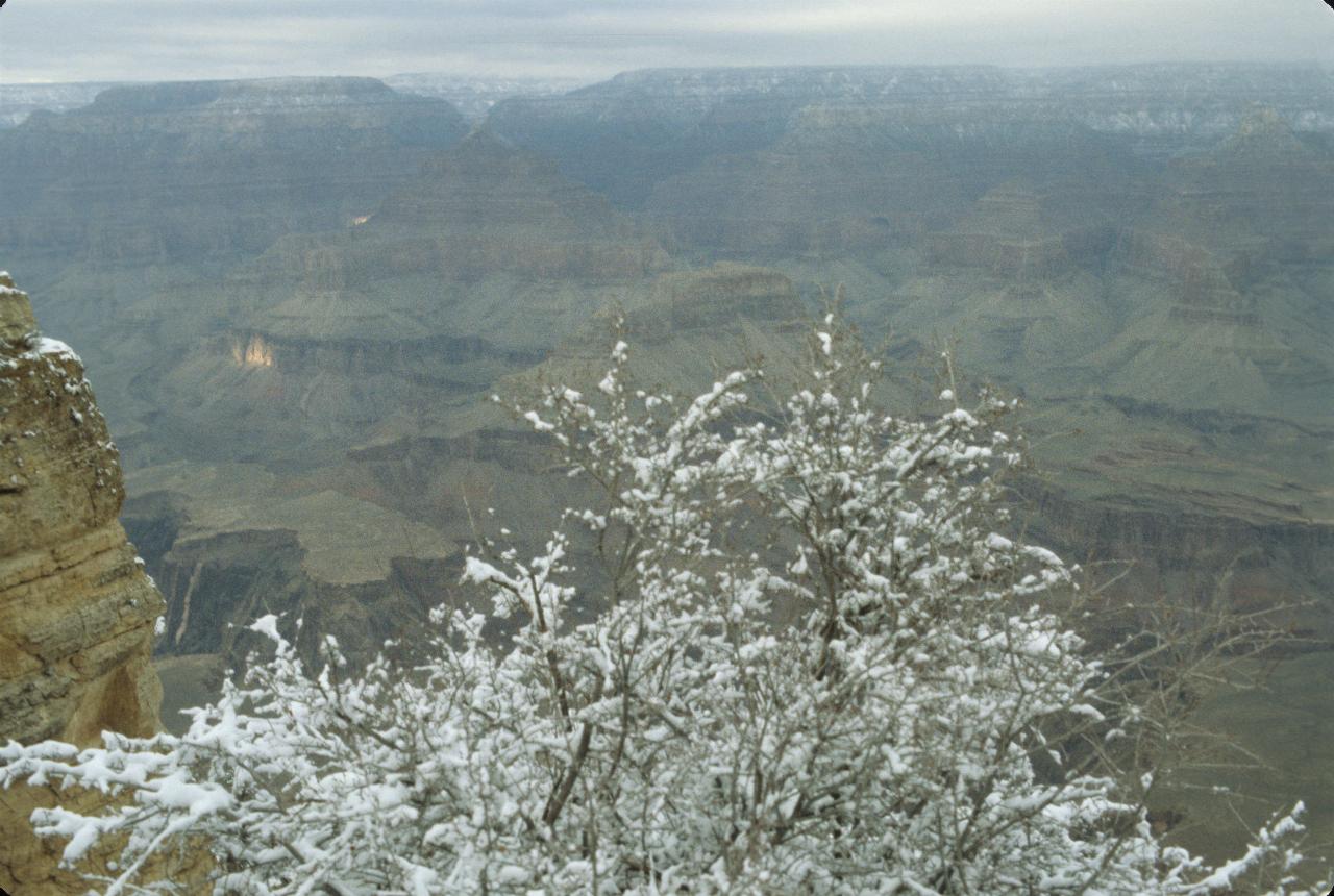 Early winter in the canyon