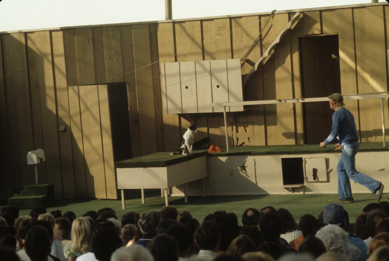 Animal trainer at work at Universal Studios