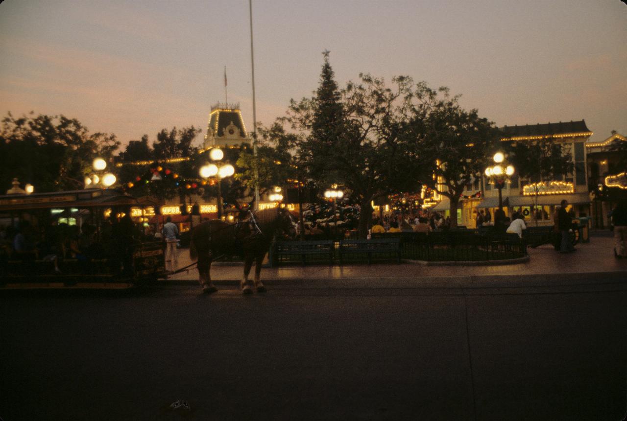 Disneyland by night