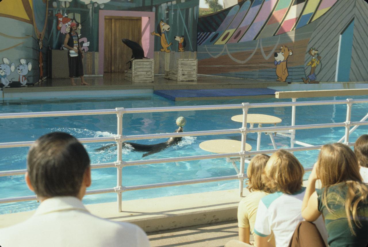 Sea lion 'pirate training school' at Marineland