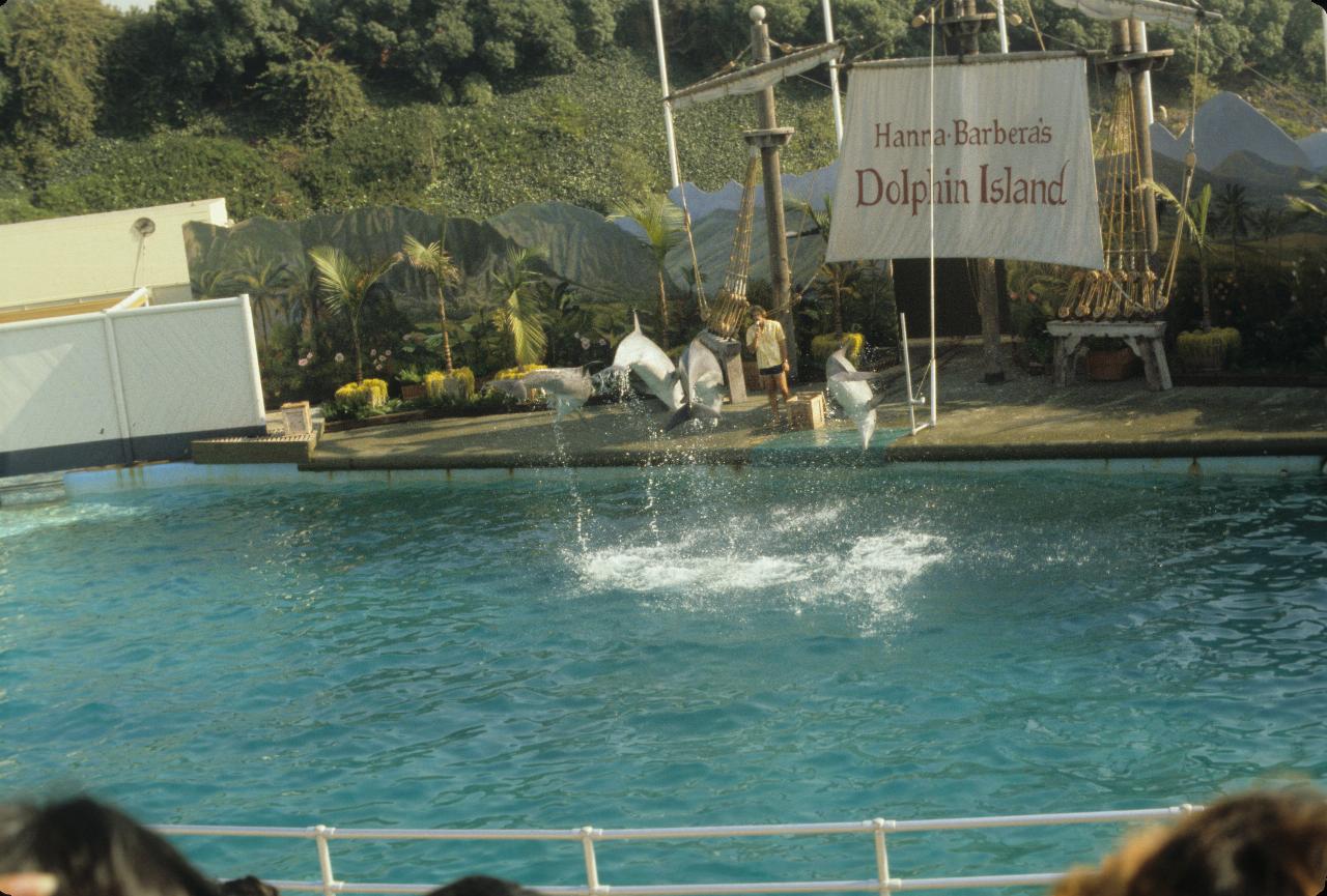 Dolphin Island