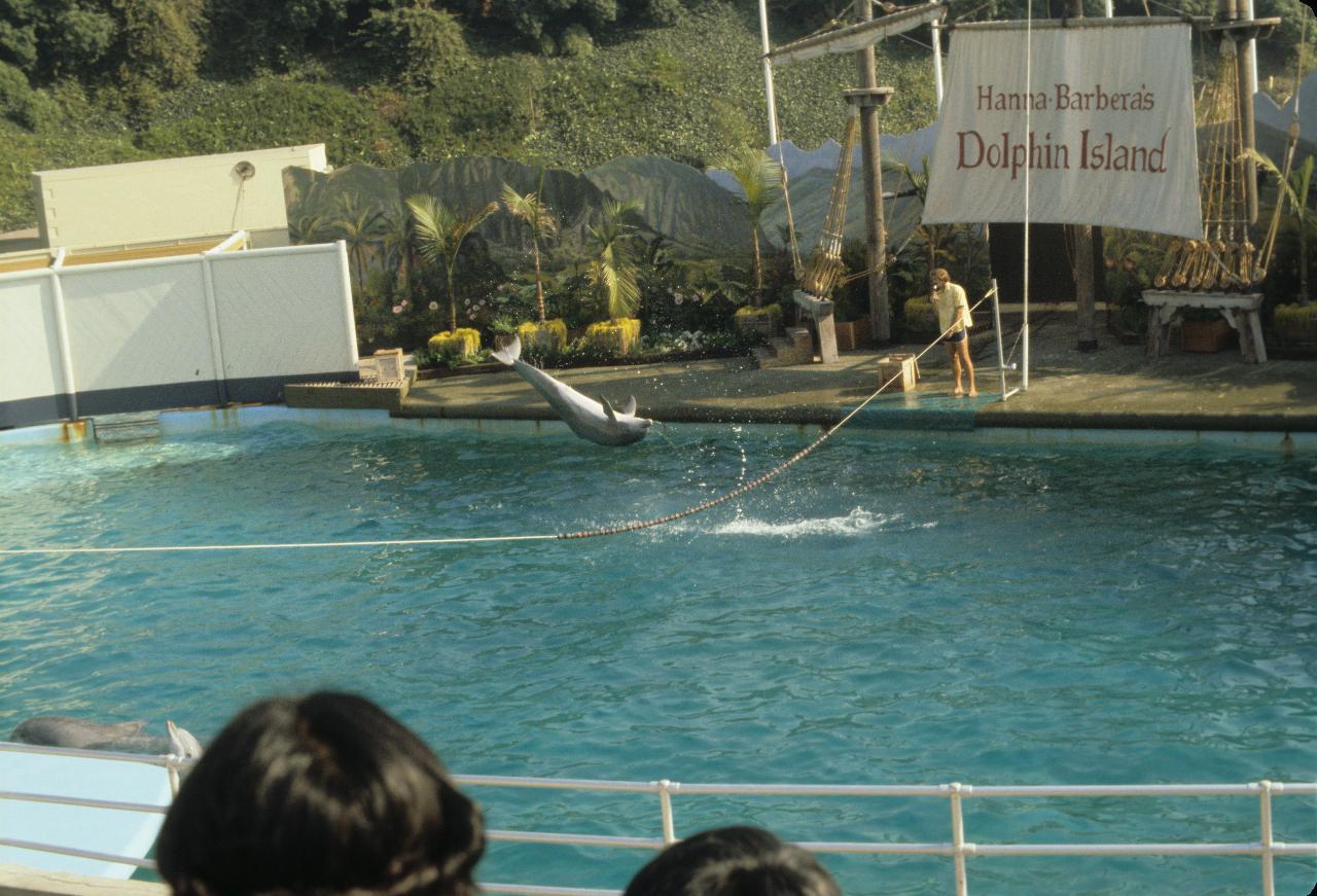 Dolphin somersault at Marineland