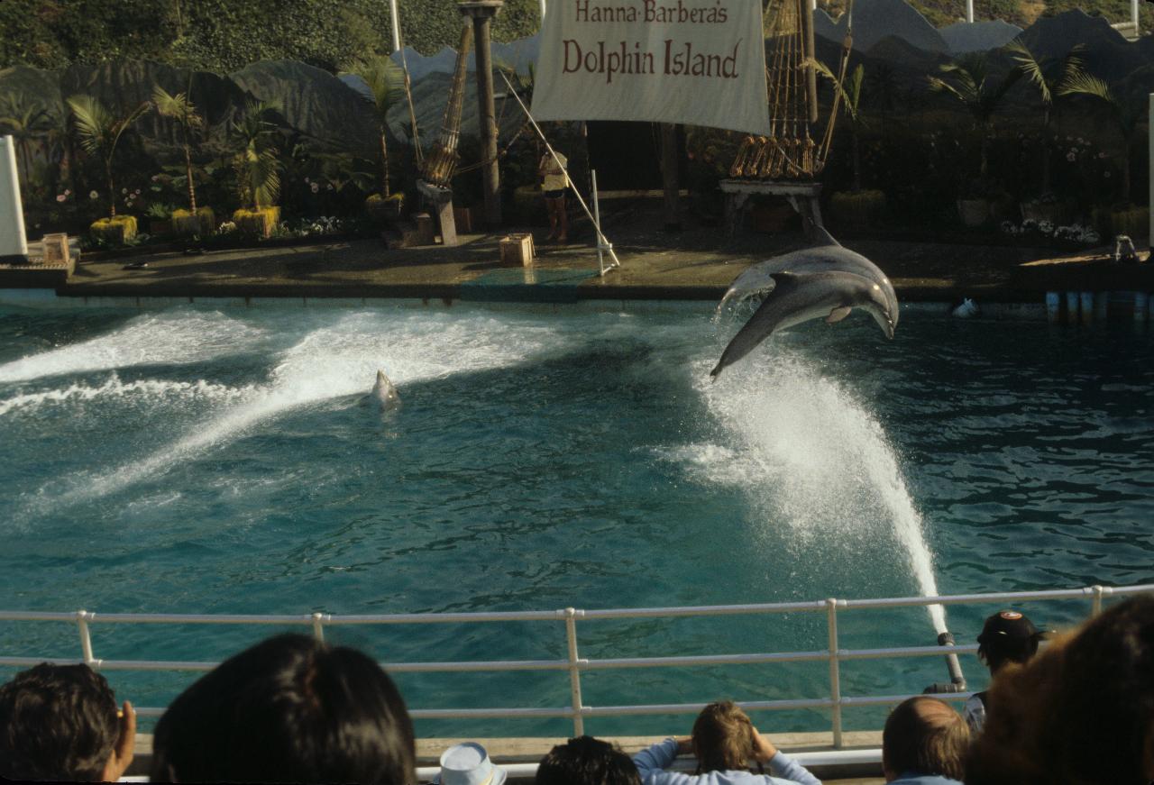 Marineland dolphin show