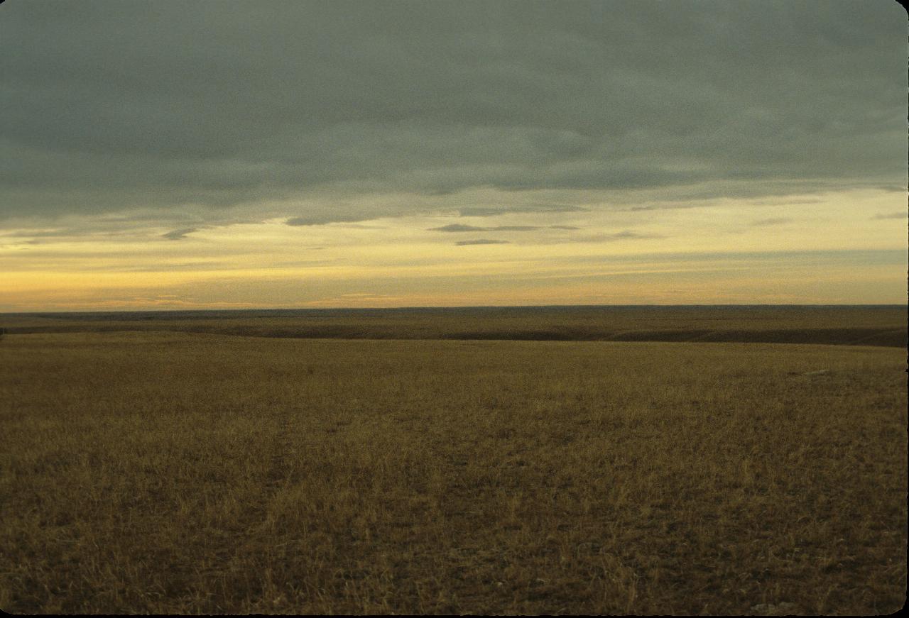 Grass lands extending to the horizon