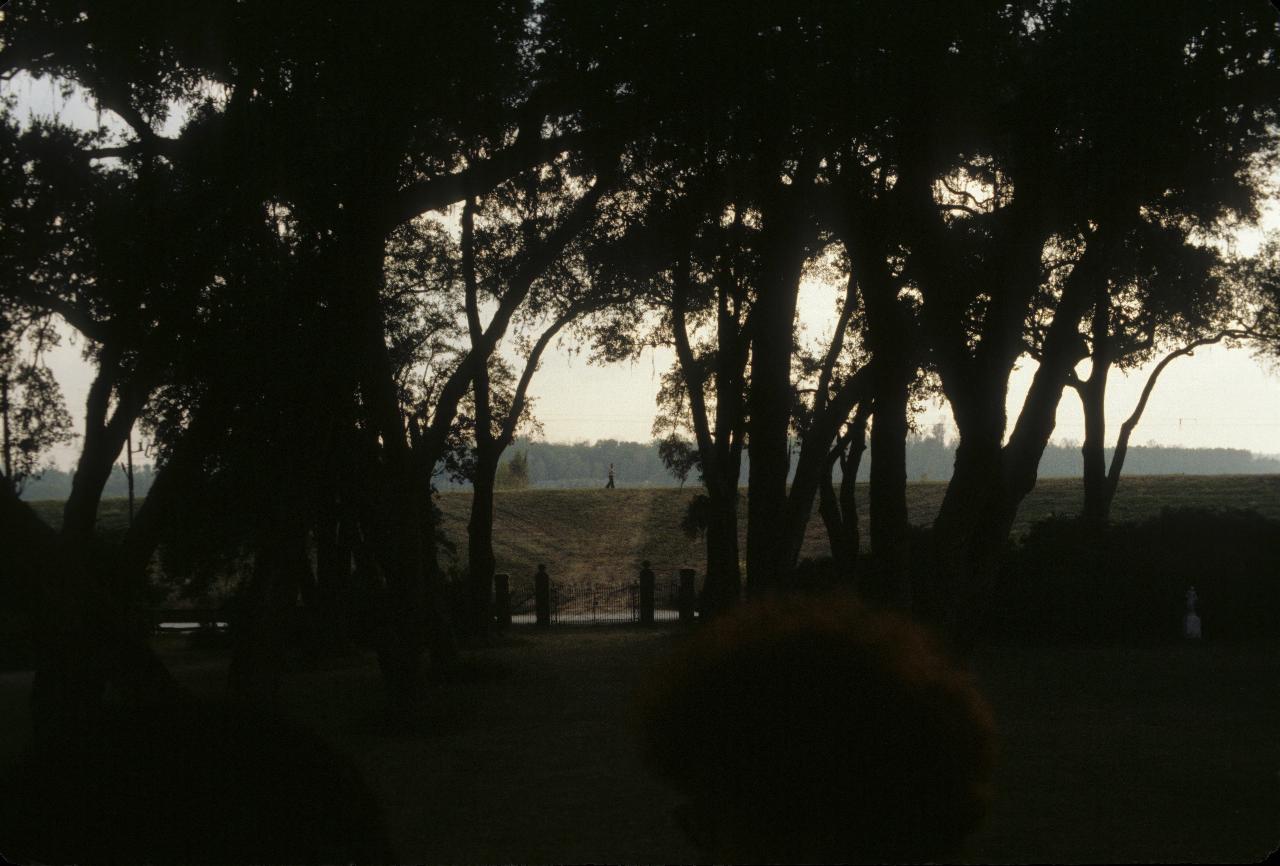 View from Houmas House to Mississippi levee (and person)