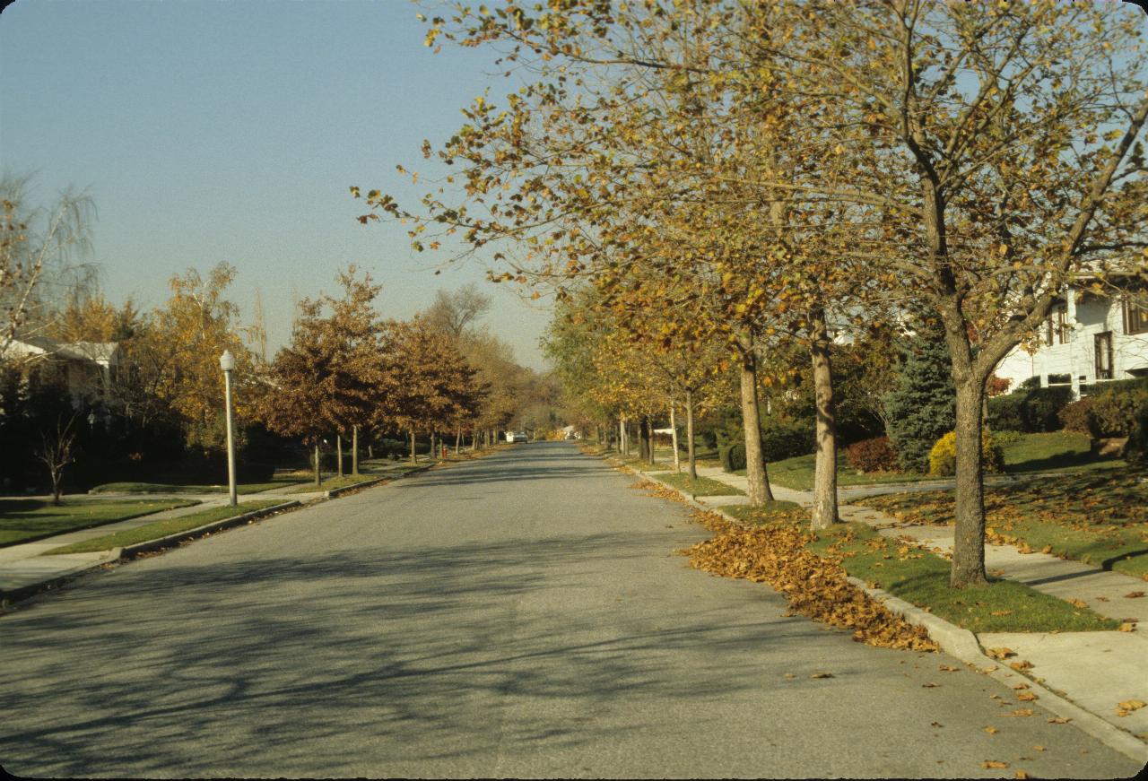 Typical suburban street in a nice area, moderate sized homes, street trees loosing their leaves