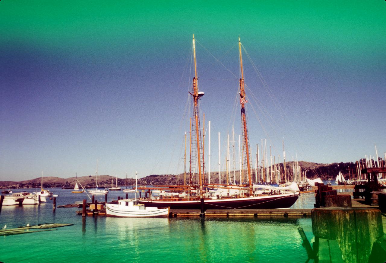 Boats at the marina in Sausilito, CA