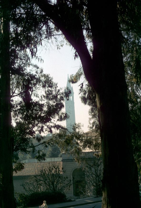 UC Berkeley Campus' clock tower