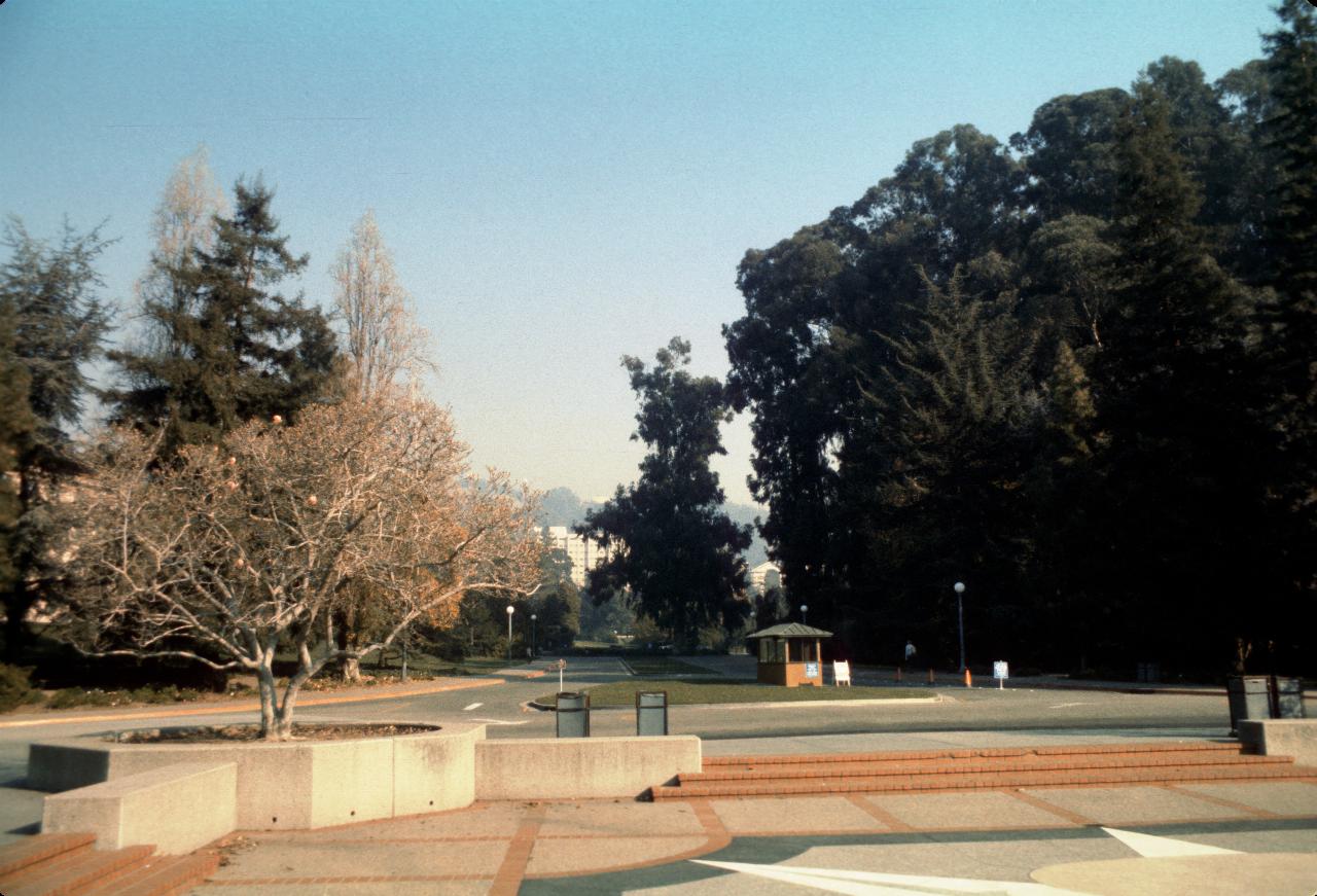 Another part of UC Berkeley campus