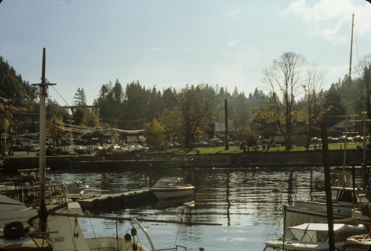 Looking from a dock to shore, with parked cars, trees loosking leaves and a few low buildings