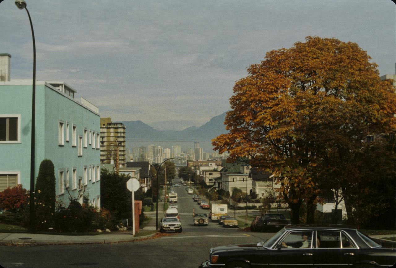 Street scene with coloured tree, high rise buildings in distance, mountains behind them