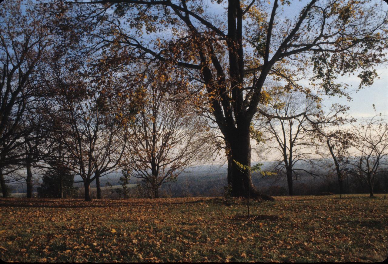 Leaf covered lawn, trees in autumn colours leading to distant view of lush country side below