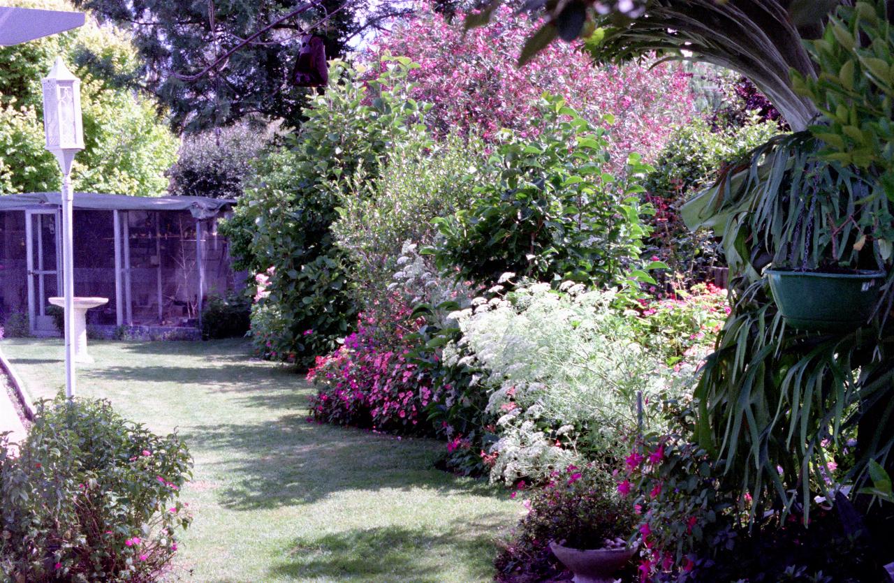 Colorful garden full of blooms, with aviary at far end